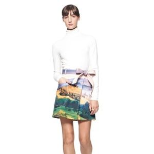 NWT! • The Kit • Mountain Postcard Cargo Skirt • Sz M